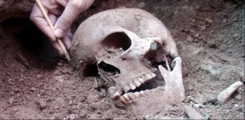 ¿Qué beneficios han aportado las pandemias a los seres humanos a lo largo de la historia?