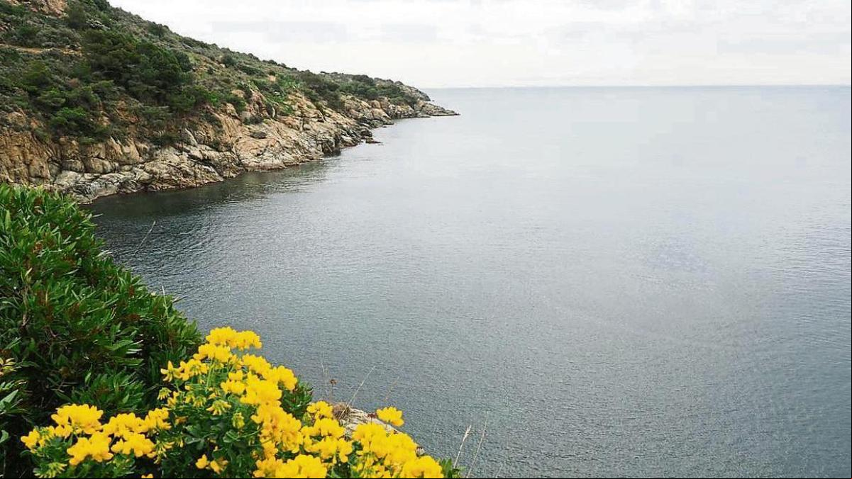La eólica marina toma impulso en el Empordà con seis proyectos candidatos