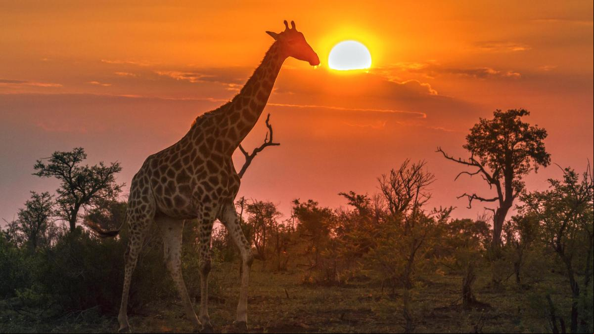Vacaciones de verano en Sudáfrica, Europa o España a buen precio: anticiparse es la clave