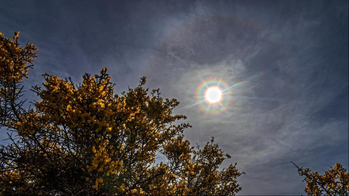 Corona con halo solar en Calldetenes