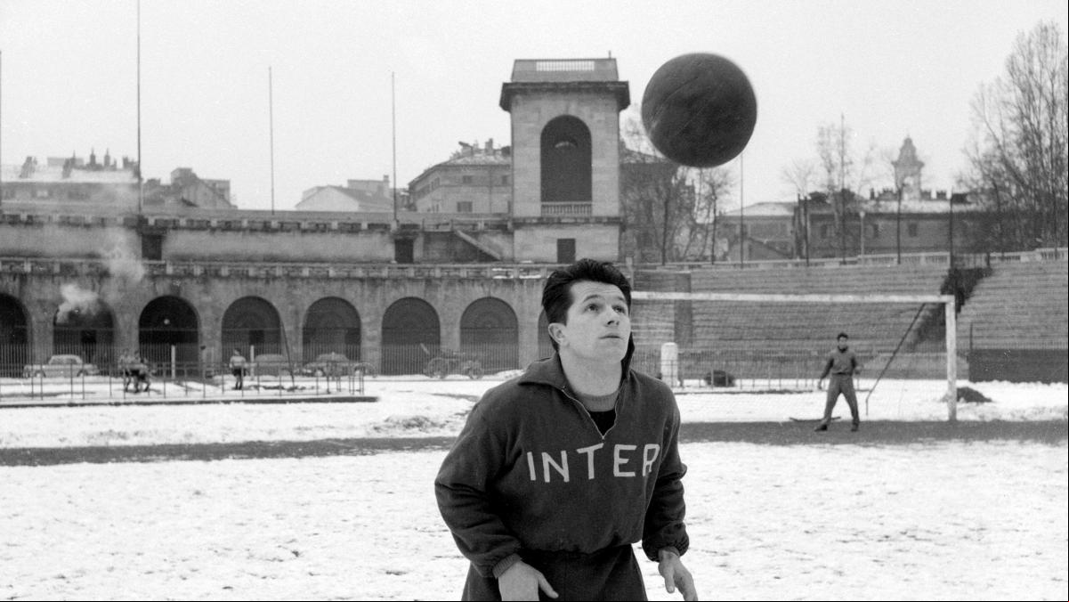 István Nyers, el húngaro errante