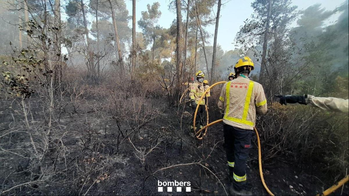 Diez dotaciones de bomberos intentan extinguir un incendio forestal en Vallirana