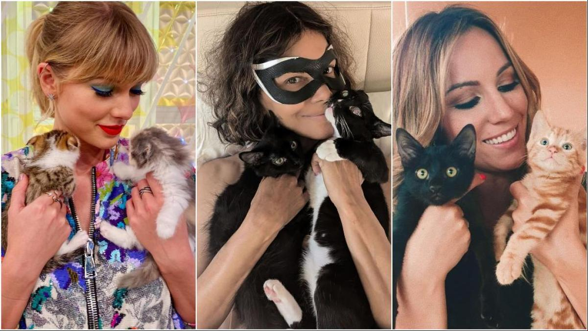 Los famosos y sus gatos: De los problemáticos de Taylor Swift a la millonaria Choupette
