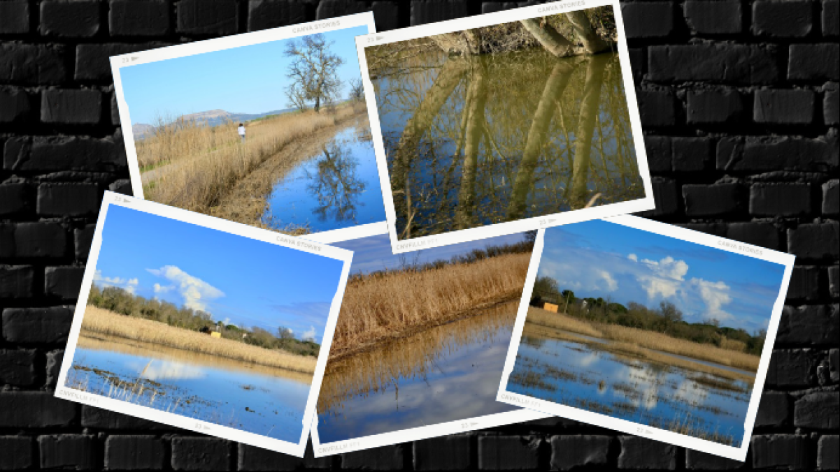 Los reflejos naturales de Les Basses den Coll