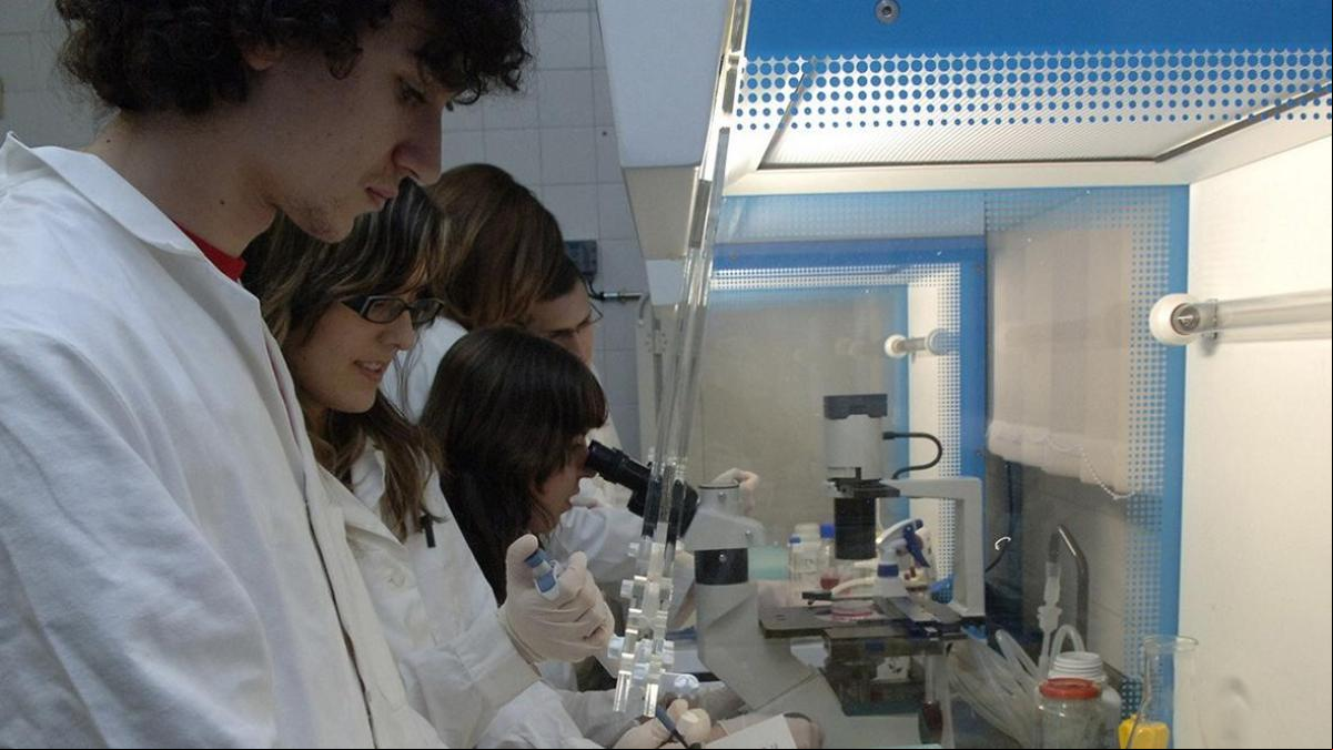 Las universidades catalanas refuerzan su oferta en salud, diseño y tecnología