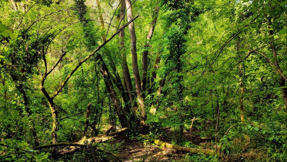 Descubre la reserva natural de La Rierada