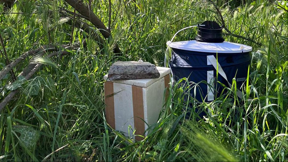 Adelantan la vigilancia del mosquito del virus del Nilo y aumentan las trampas instaladas en Andalucía Adelantan la vigilancia del mosquito del virus del Nilo y aumentan las trampas instaladas en Andalucía
