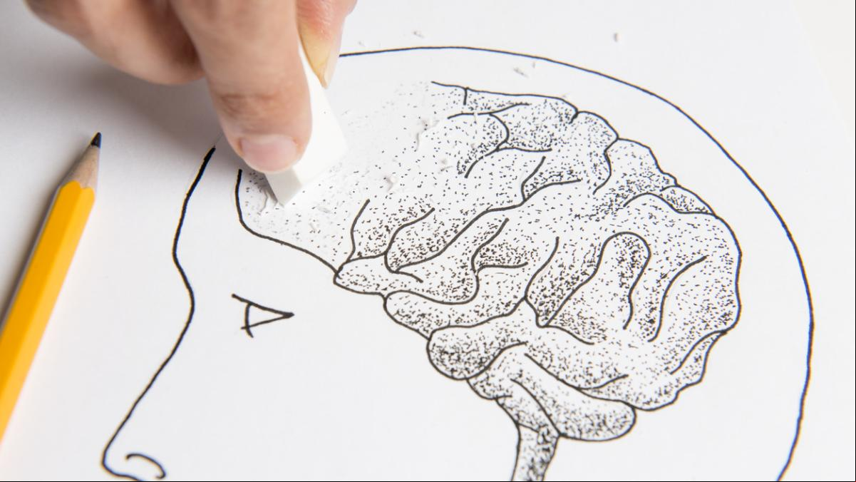 ¿Hay cerebros de izquierdas y de derechas?