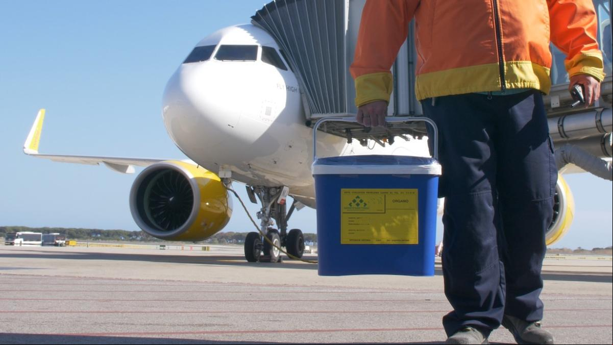 Así viajan en avión los órganos que salvan vidas