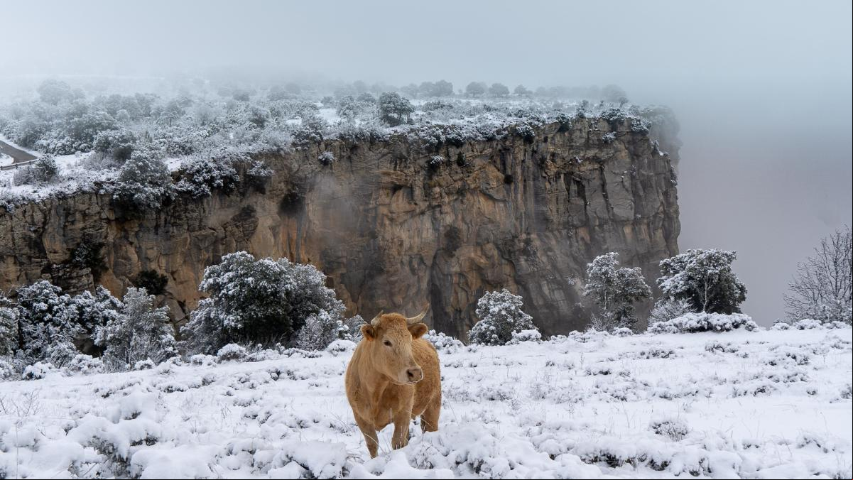 Nevada de marzo en los riscos de Tavertet