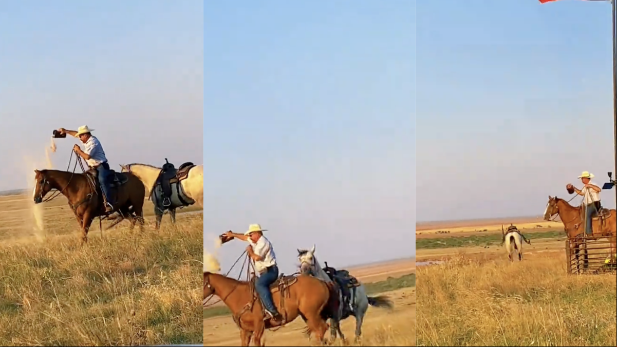 El emotivo último paseo a galope de un caballo con las cenizas de su dueño