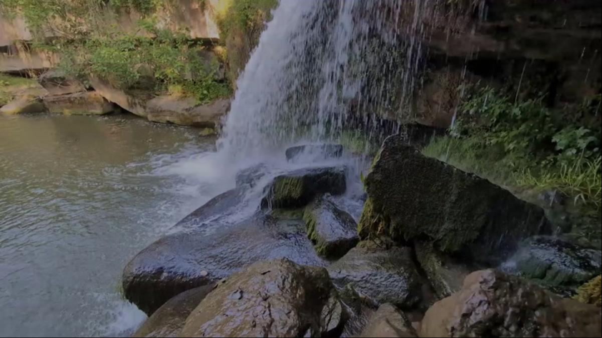 El sonido de la primavera en la Riera Lluçanès