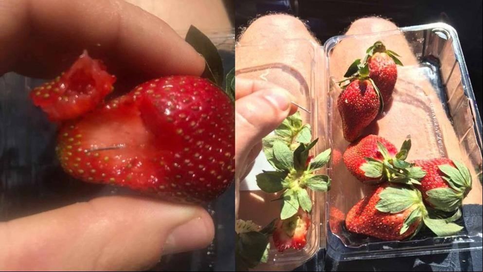 Australia investiga el hallazgo de agujas insertadas en fresas