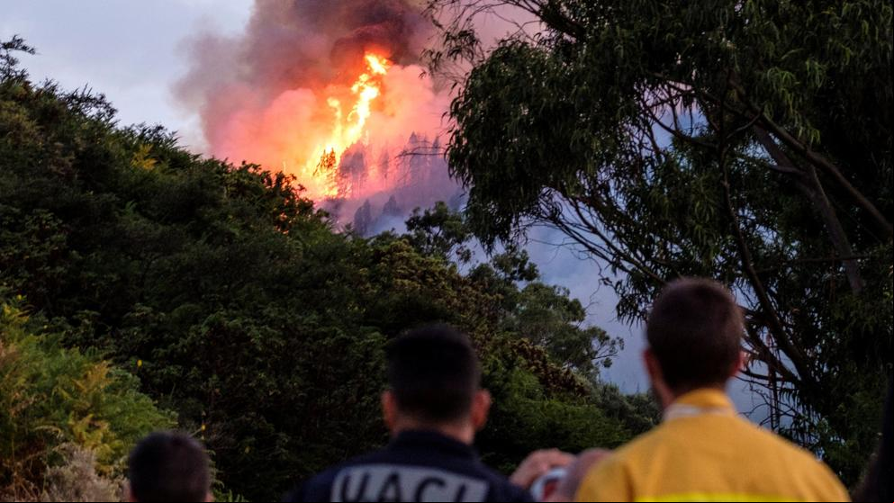 Continúan las evacuaciones por el incendio forestal de Gran Canaria