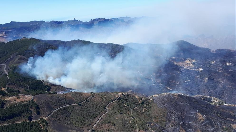 Un cable de baja tensión, principal hipótesis del origen del gran incendio forestal de Gran Canaria