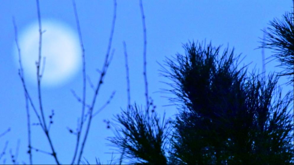 ¿Cómo se ha visto la luna de nieve?
